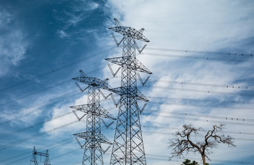 Wall Mural - electricity transmission pylon