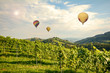 Hot air balloons flying over the vineyards along South Styrian Wine Road, Austria Europe