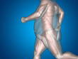 © high_resolution - Human man fat and slim concept on blue