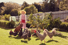 Senior Woman Farmer With Her Dog And Chickens In Backyard