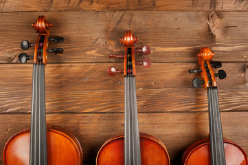 Wall Mural - three violins in wood background