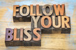 follow your bliss in wood type