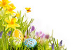 Fresh spring Easter card design with eggs