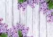 Lilac flowers on shabby wooden planks