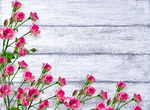 Plakat na zamówienie Roses on background of shabby wooden planks