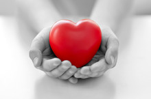 Close Up Of Child Hands Holding Red Heart