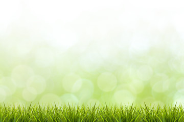 Wall Mural - Grass and green blurred background