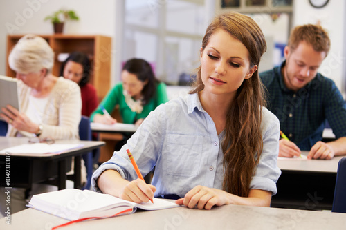 Fotografie, Obraz Young woman studying at an adult education class
