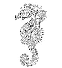 Hand Drawn Doodle Outline Seahorse