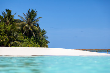 Wall Mural - Maldives, beach with palm trees
