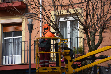 Sticker - jardinero podando un árbol