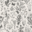 Vector vintage seamless floral pattern. Herbs and wild flowers. Botanical Illustration engraving style. Black and white.