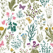 © OlgaKorneeva - Vector vintage seamless floral pattern. Herbs and wild flowers. Botanical Illustration engraving style. Colorful