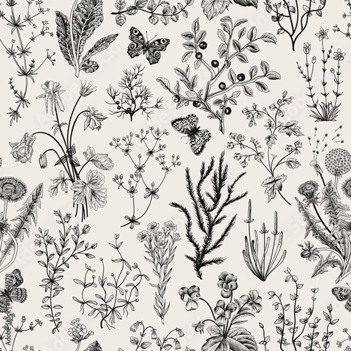 Dekoracja na wymiar  wektor-wzor-kwiatowy-wzor-ziola-i-dzikie-kwiaty-styl-grawerowania-ilustracja-botaniczna-czarny-i-bialy