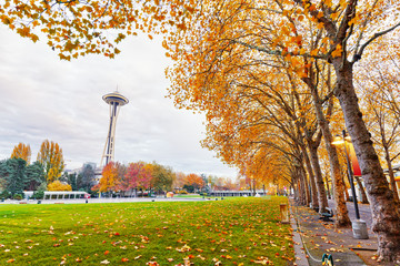 landscape of seattle center near space needle