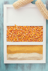 Cornflour and corn kernels. Two corn cobs beside corn flour and kernels on rustic background