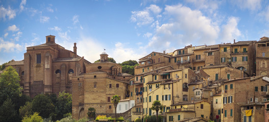 Wall Mural - Beautiful view of the historic city of Siena, Italy