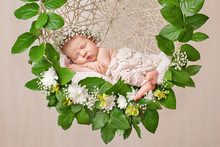 Little Newborn Girl 11 Days, Sleeps. Beautiful Newborn Girl And