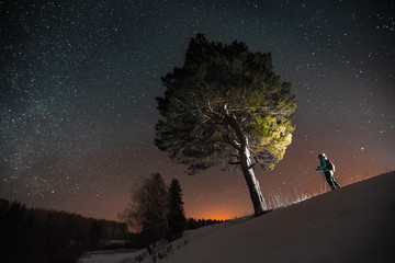 Wall Mural - Skiing in the forest