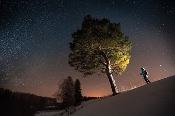 Wall Mural - Skiing in the forest