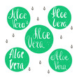Vector collection of Aloe Vera badges. Set of Aloe Vera labels isolated on white