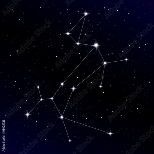 Fotomural Canis Major constellation with Sirius star