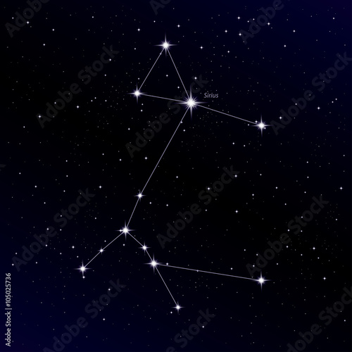 Cuadros en Lienzo Canis Major constellation with Sirius star