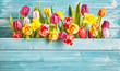 Tulip border with copy space