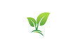 green leaf plant landscape logo