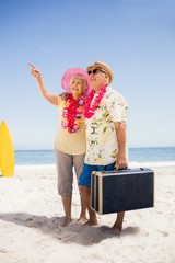 Poster - Senior couple holding suitcase on the beach