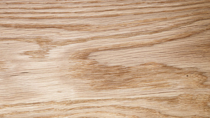 Poster - natural oak texture for background, high resolution