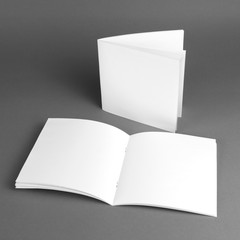 Blank catalog, brochure, magazines, book mock up.