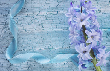 Wall Mural - blue holiday romantic background with hyacinth