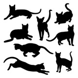 Fototapeta Pokój dzieciecy - cat's silhouettes