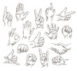 Vector set of hands and gestures - outline illustration
