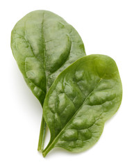 Baby spinach leaves isolated on white background cutout