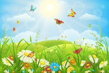Summer Or Spring Lush Meadow With Colorful Flowers And Butterflies