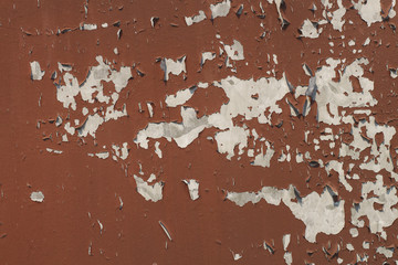 Poster - Cracked paint on steel for pattern