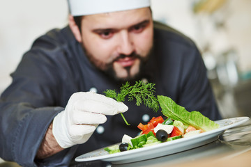 Wall Mural - male chef decorating salad food 