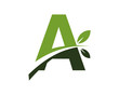 A green leaves letter swoosh ecology logo 