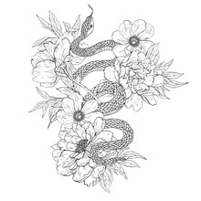 Snakes And Flowers. Tattoo Art, Coloring Books.