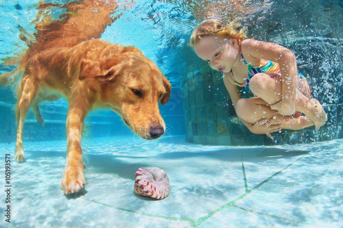 dziewczynka-i-golden-retriver-nurkujacy-po-muszelke-w-basenie
