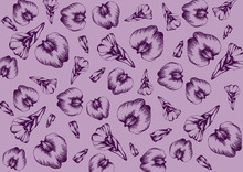  Asian Pigeonwings Pattern