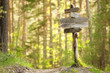 © Alexandr Vasilyev - Track pointer on a forest road