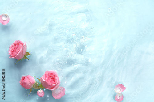 Fototapeta na wymiar Rose in water