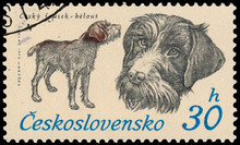 Stamp Printed In Czechoslovakia Shows Czech Whisker