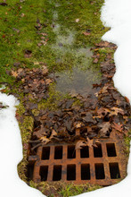 Rusted Drainage Grate Clogged With Leaves