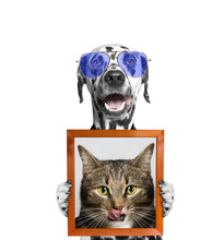 Dog In Glasses Holds A Portrait Of Cat In Its Paws