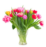 Fototapeta Tulipany - bouquet of  pink, purple and red  tulips