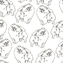 Seamless Vector Pattern With Dogs.